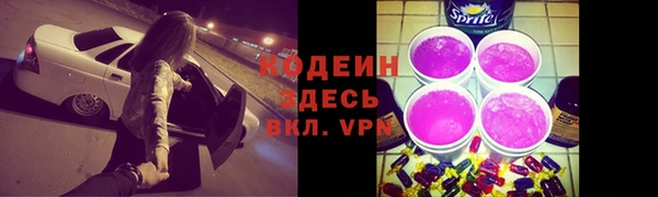 прущая мука Корсаков