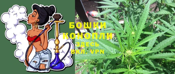 прущая мука Корсаков