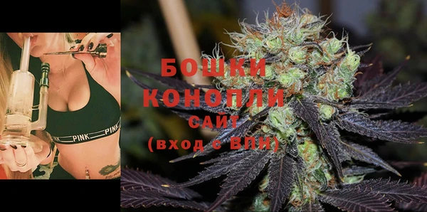 прущая мука Корсаков