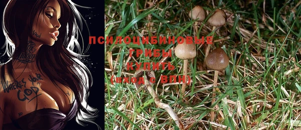 прущая мука Корсаков